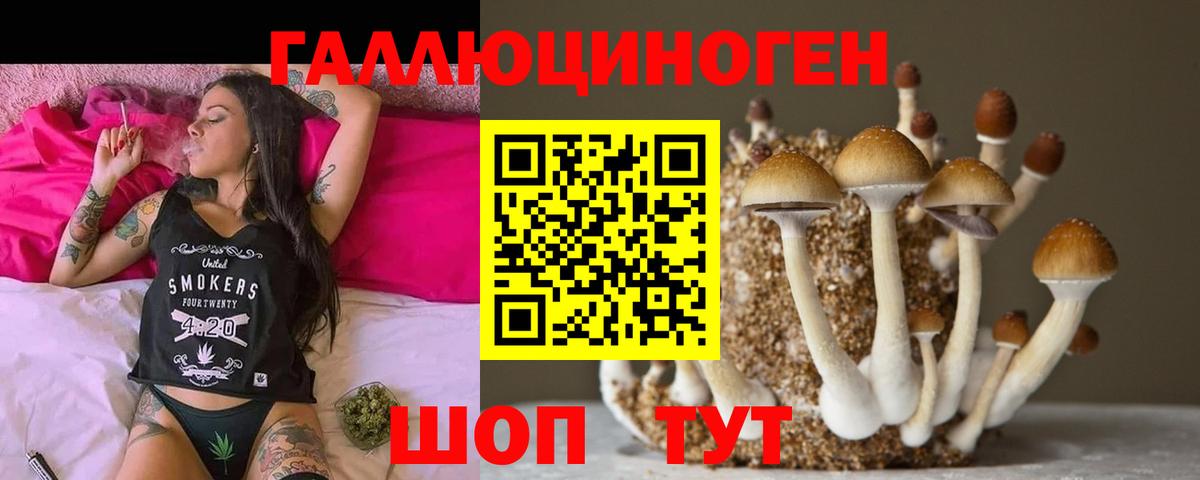 Псилоцибиновые грибы Cubensis  Вход с VPN  Звенигород 
